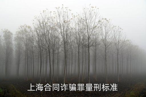 上海合同詐騙罪量刑標(biāo)準(zhǔn)
