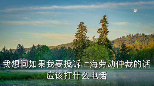 我想問如果我要投訴上海勞動仲裁的話應該打什么電話