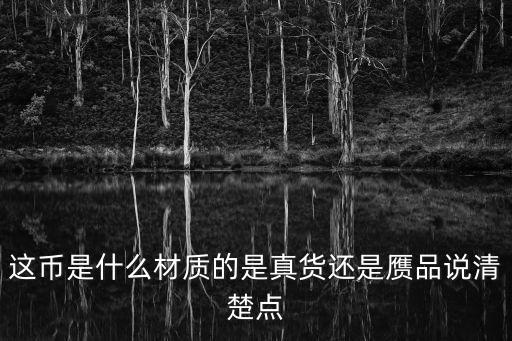 這幣是什么材質(zhì)的是真貨還是贗品說清楚點