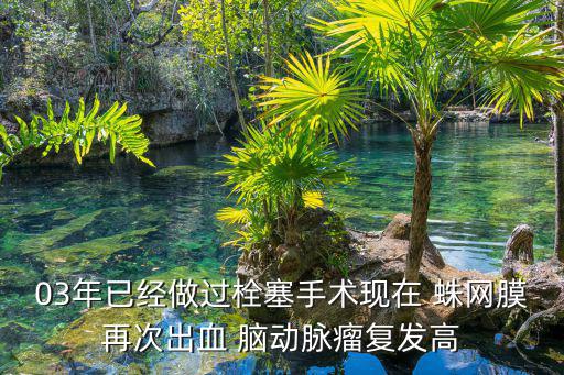 03年已經做過栓塞手術現在 蛛網膜再次出血 腦動脈瘤復發高