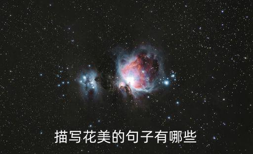 描寫花美的句子有哪些