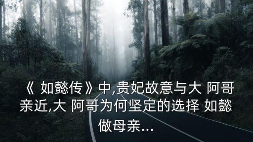 如懿傳大阿哥結(jié)局,藍(lán)海決心為如懿報(bào)仇五阿哥一路走好