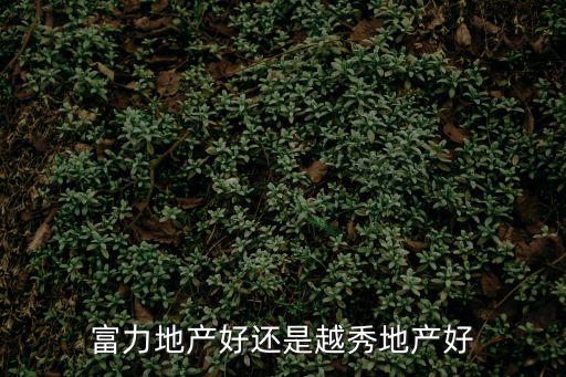 富力地產好還是越秀地產好