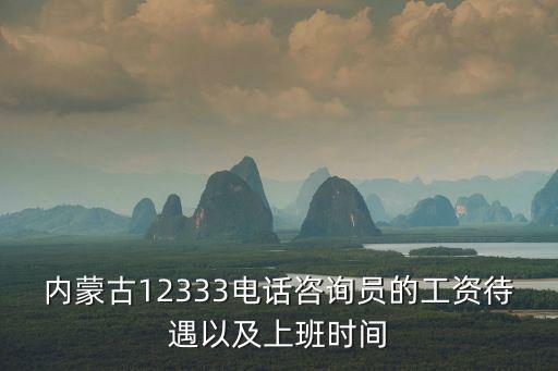 內(nèi)蒙古12333電話咨詢員的工資待遇以及上班時間