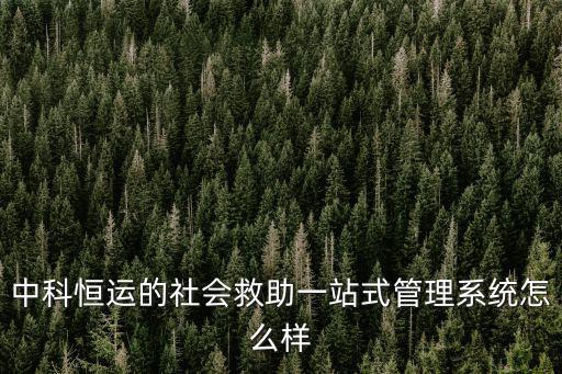 中科恒運的社會救助一站式管理系統怎么樣