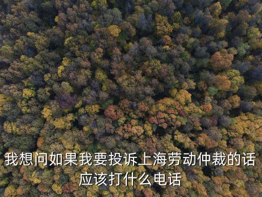 我想問如果我要投訴上海勞動仲裁的話應該打什么電話