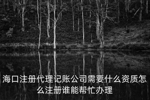 ?？谧源碛涃~公司需要什么資質怎么注冊誰能幫忙辦理
