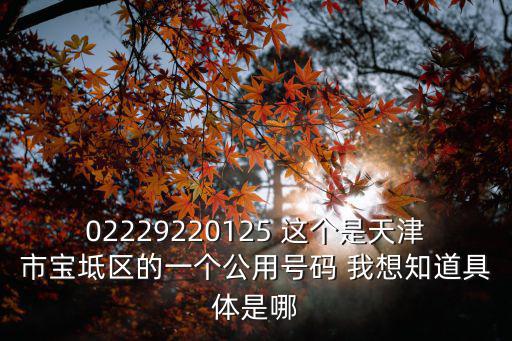 02229220125 這個是天津市寶坻區的一個公用號碼 我想知道具體是哪