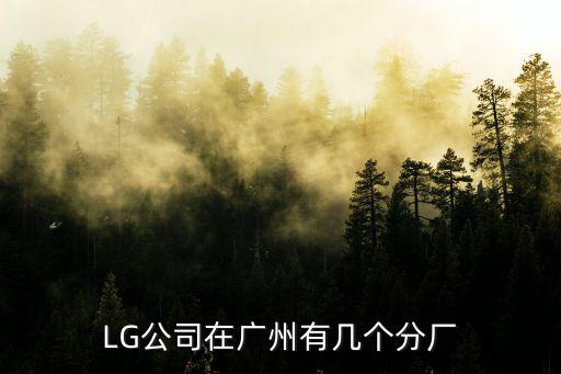 LG公司在廣州有幾個分廠