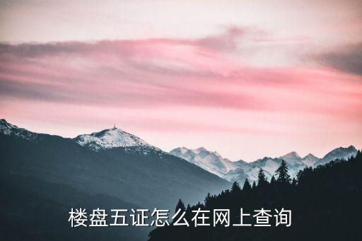 天津市五證網上查詢，樓盤五證怎么在網上查詢