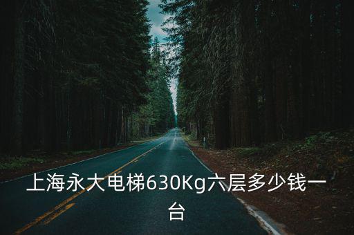 上海永大電梯630Kg六層多少錢一臺(tái)