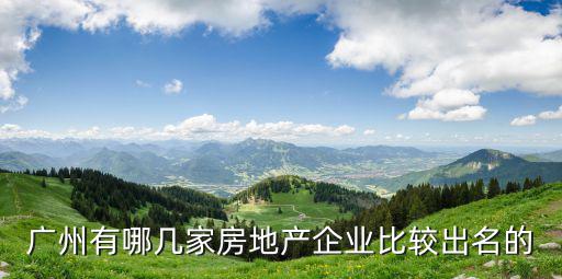 廣州有哪幾家房地產(chǎn)企業(yè)比較出名的