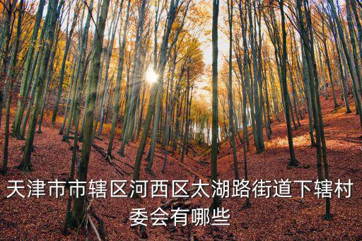 天津市市轄區河西區太湖路街道下轄村委會有哪些