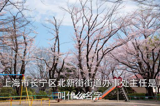 上海街道書記，上海市青浦區香花橋街道書記是誰