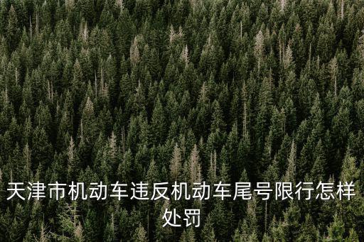 天津市機(jī)動(dòng)車違反機(jī)動(dòng)車尾號(hào)限行怎樣處罰