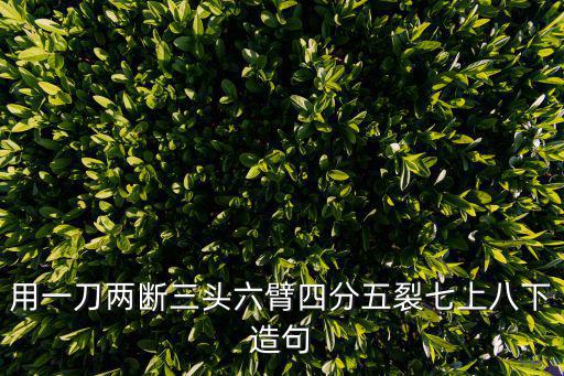 四分五裂造句，例子四分五裂一日三秋五花八門問