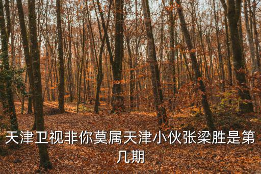 天津衛(wèi)視非你莫屬天津小伙張梁勝是第幾期