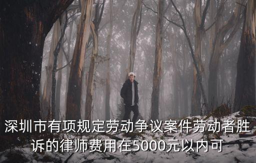 深圳市有項規定勞動爭議案件勞動者勝訴的律師費用在5000元以內可