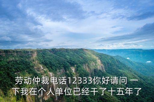 勞動仲裁電話12333你好請問 一下我在個人單位已經干了十五年了