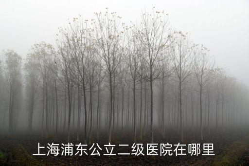 上海浦東公立二級醫院在哪里