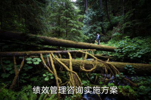 績效管理方案，績效管理咨詢實施方案