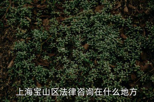 寶山區法律咨詢援助，上海寶山區有為外來務工免費法律援助嗎