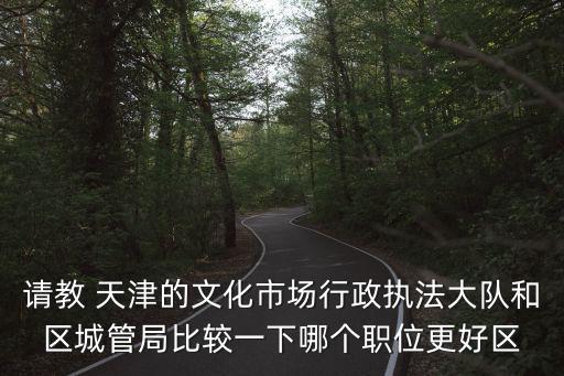 請教 天津的文化市場行政執法大隊和區城管局比較一下哪個職位更好區