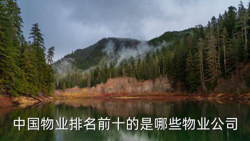 中國物業(yè)排名前十的是哪些物業(yè)公司