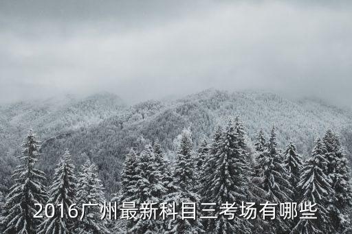廣州科目三化龍考場圖，2016廣州最新科目三考場有哪些