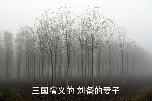 劉備的夫人,趙云保護少爺和甘夫人闖出重圍生還
