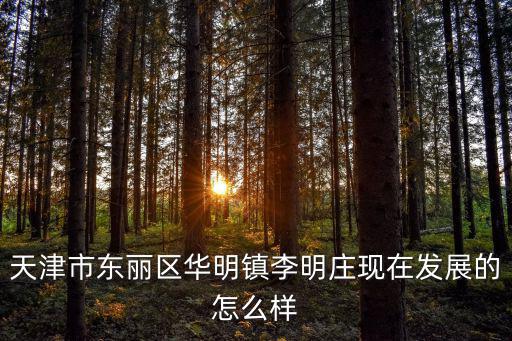 天津市東麗區華明鎮李明莊現在發展的怎么樣