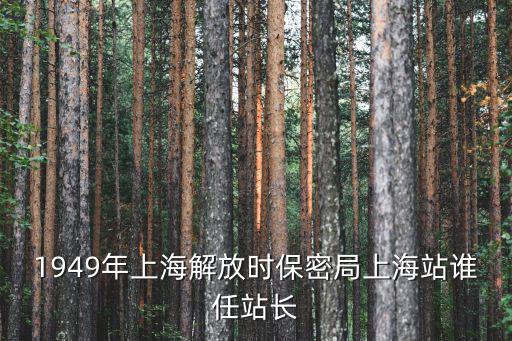 1949年上海解放時保密局上海站誰任站長