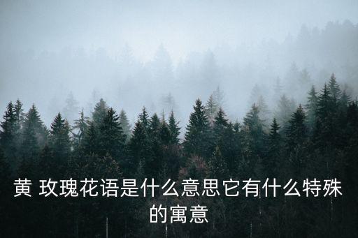 黃 玫瑰花語是什么意思它有什么特殊的寓意