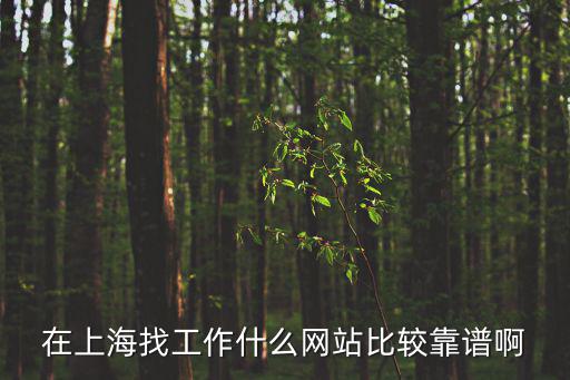 在上海找工作什么網站比較靠譜啊