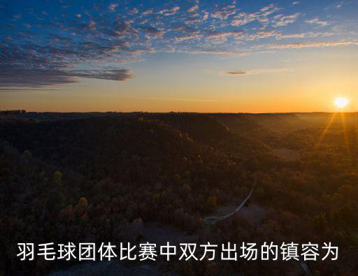 羽毛球團體賽，羽毛球團體比賽中雙方出場的鎮容為