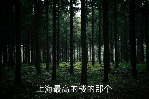 上海最高的樓的那個