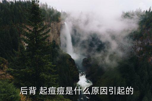  后背 起痘痘是什么原因引起的