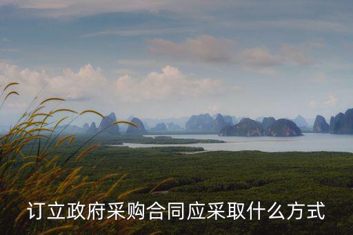 訂立政府采購合同應采取什么方式