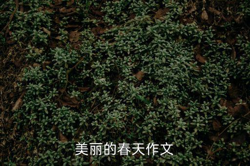 美麗的春天作文