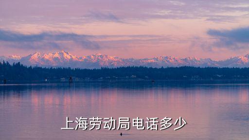上海勞動局電話多少