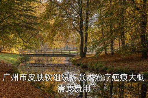 廣州市皮膚軟組織擴張術治療疤痕大概需要費用