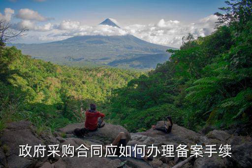 政府采購合同應如何辦理備案手續