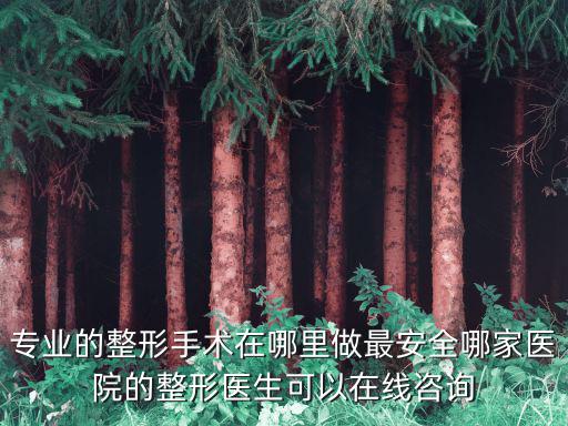 專業的整形手術在哪里做最安全哪家醫院的整形醫生可以在線咨詢