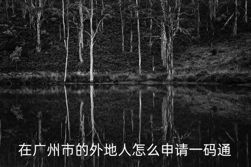 在廣州市的外地人怎么申請一碼通