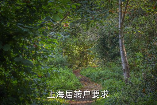 上海居轉戶要求