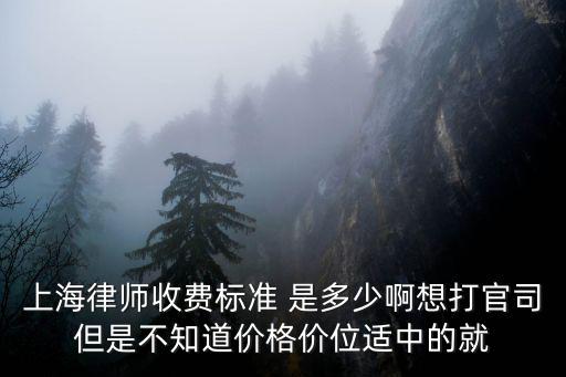 2022年上海律師收費標準，上海律師費用收取標準律師費是多少