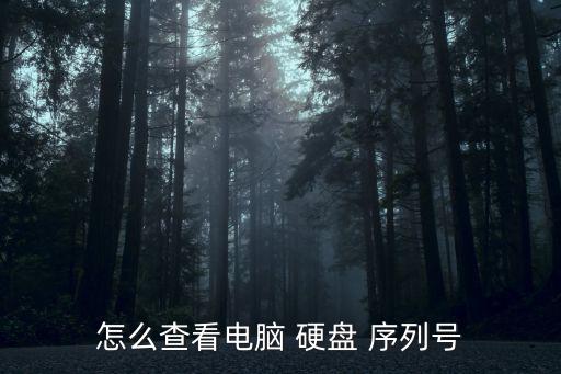 硬盤序列號,如何查電腦硬盤序列?