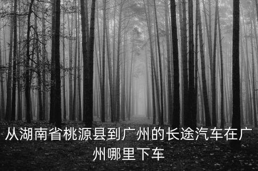 從湖南省桃源縣到廣州的長途汽車在廣州哪里下車