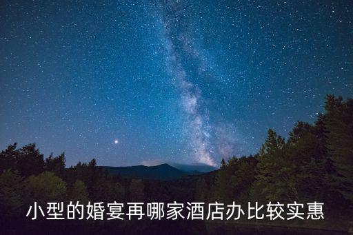 小型的婚宴再哪家酒店辦比較實惠