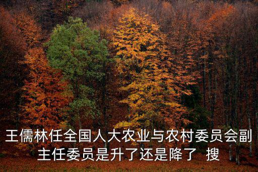王儒林任全國人大農業與農村委員會副主任委員是升了還是降了  搜